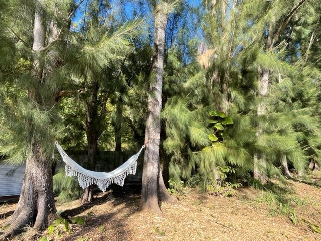 1740 Kokomo Road, Unit B Haiku, HI 96708 - Photo 3 of 29