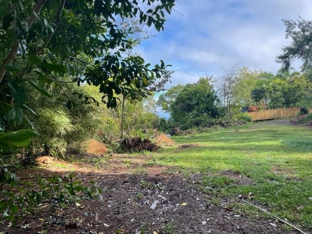 1740 Kokomo Road, Unit B Haiku, HI 96708 - Photo 7 of 29 a big yard with lots of green space