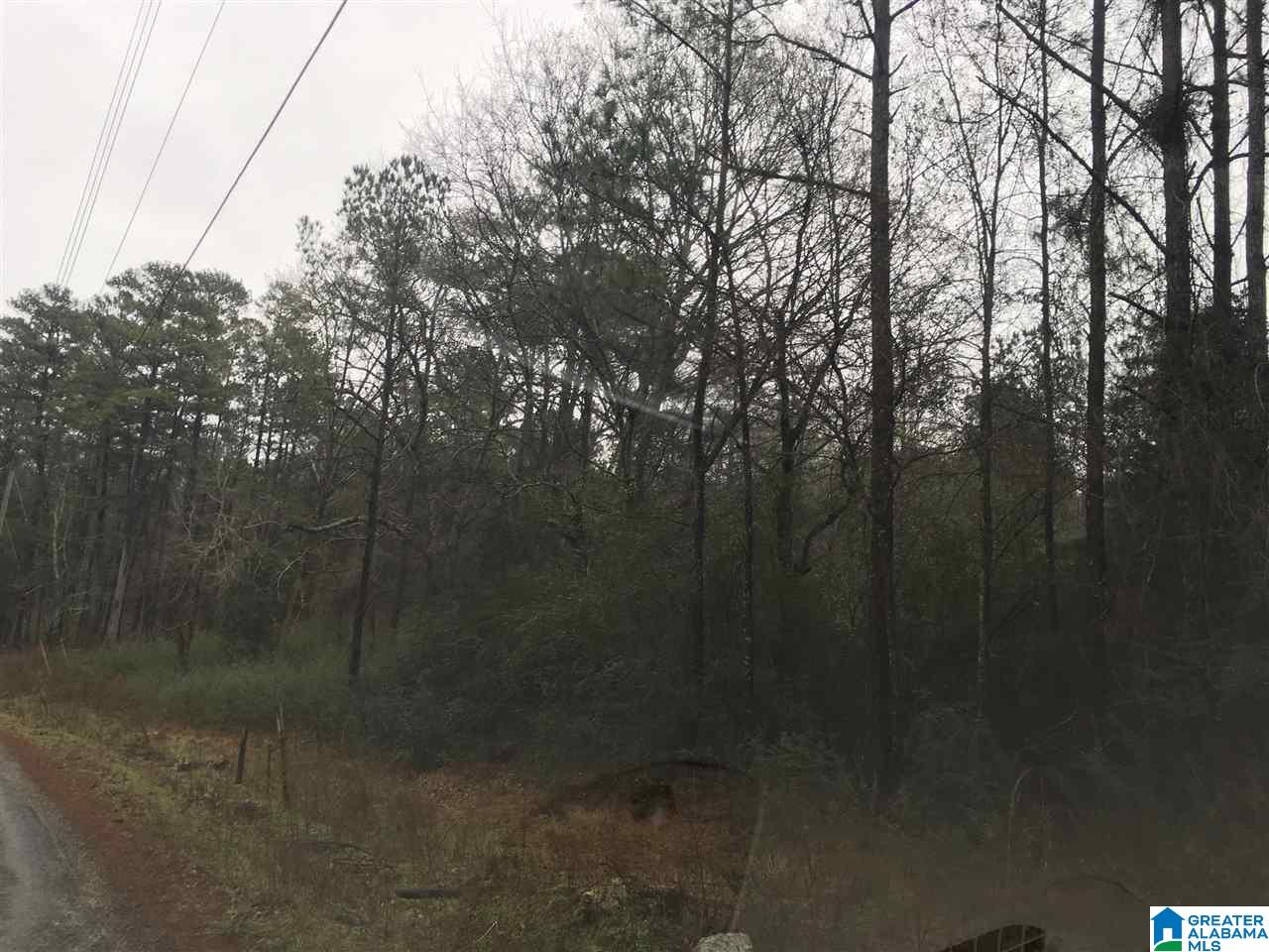 1245 Eureka Road, Unit 2 Lincoln, AL 35096 - Photo 23 of 32