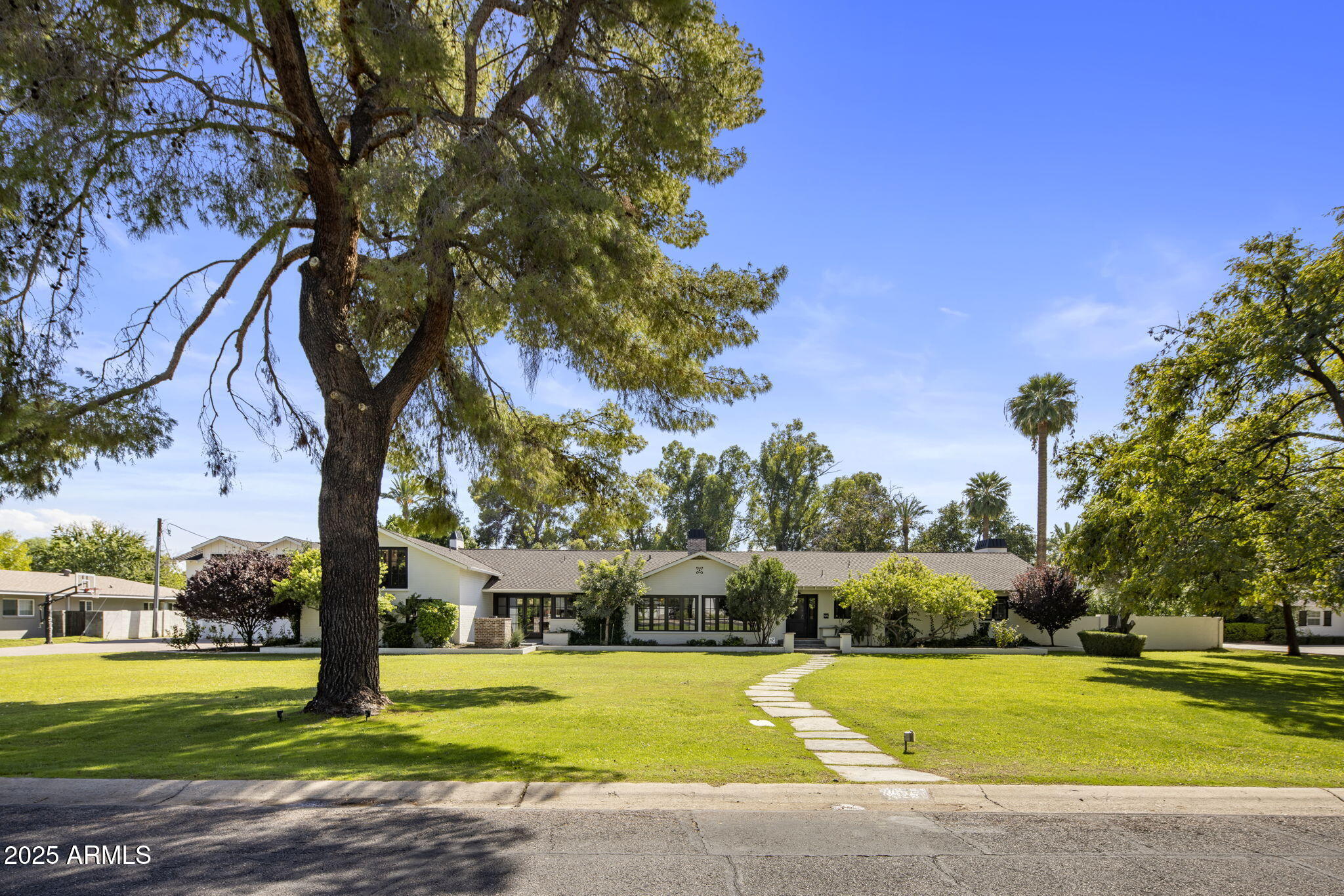 55-web-or-mls-D46A5005