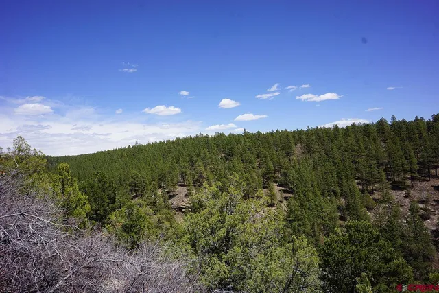 a view of a city and lush green forest