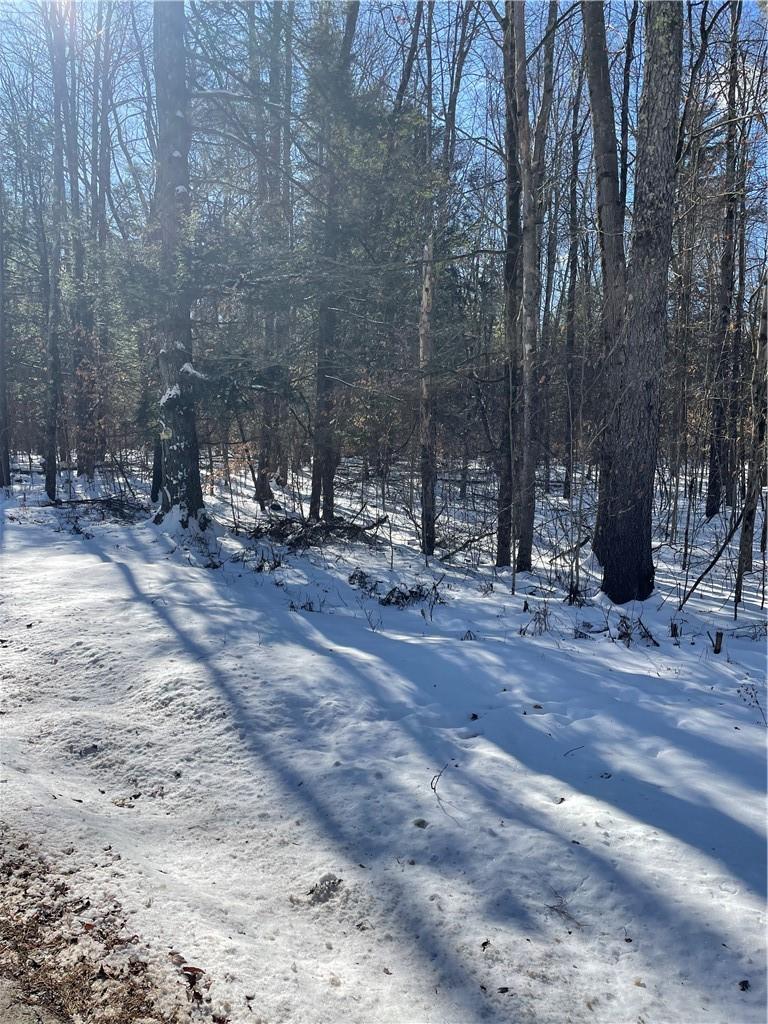 Lot 13 Tyler Road Cochecton, NY 12726 - Photo 1 of 1