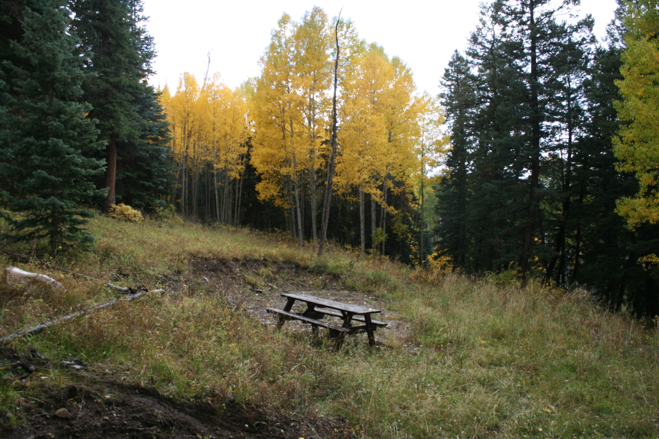 415 Elk Wallow Road Placerville, CO 81430 - Photo 3 of 3 Picnic Table