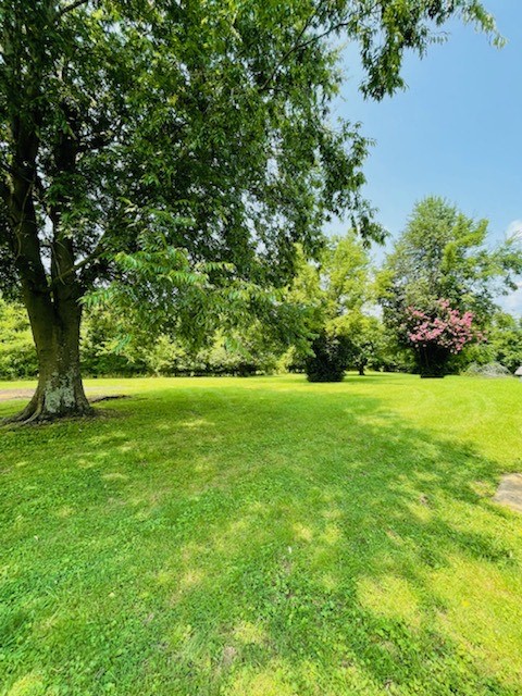 2063 McAnally Road Mount Pleasant, TN 38474 - Photo 7 of 32 Gallery Image 7