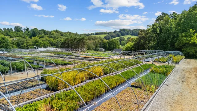 $3,400,000 | 3615 Strong Road, Mascot, TN 37806