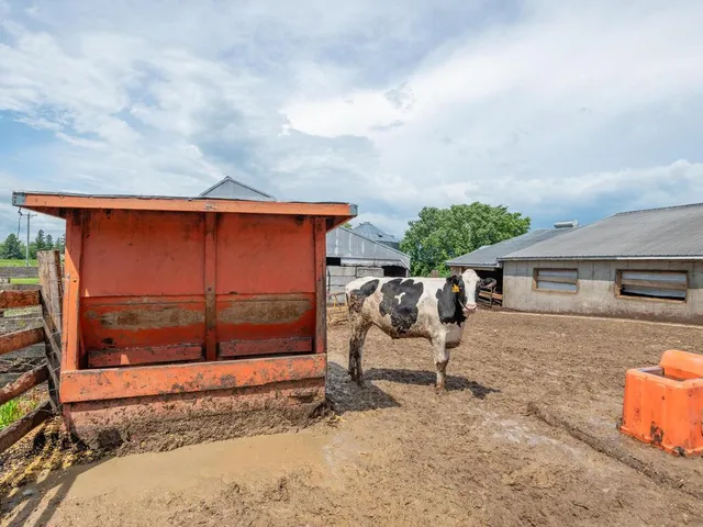 $1,100,000 | 10460 County Road 50, Cologne, MN 55322