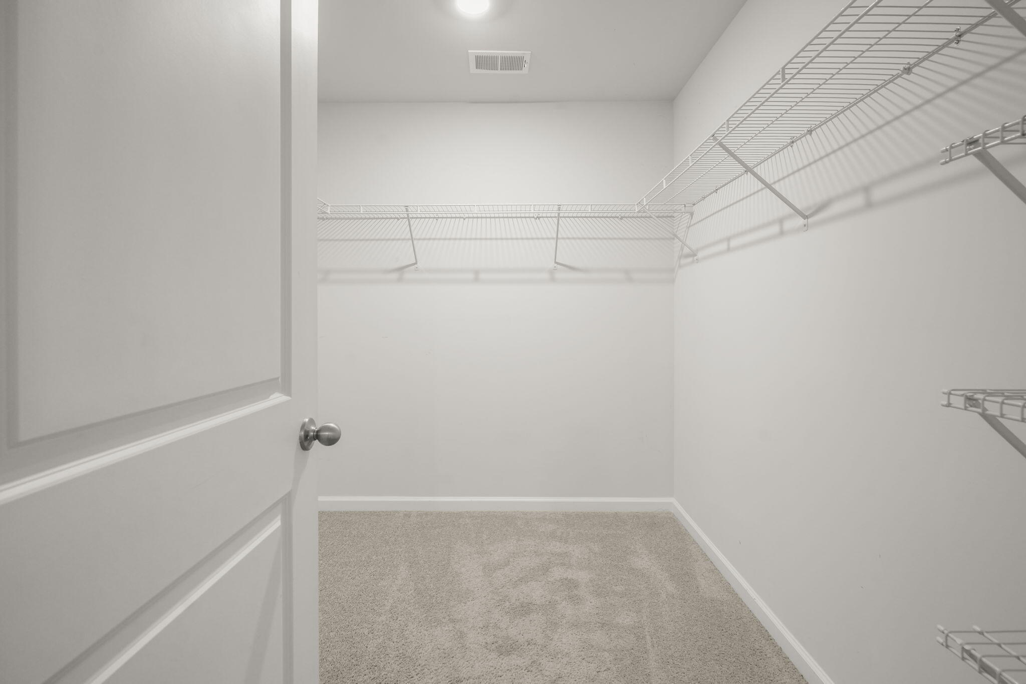 361 Spruce Ivy Street Moncks Corner, SC 29461 - Photo 13 of 44 Large Closet Space
