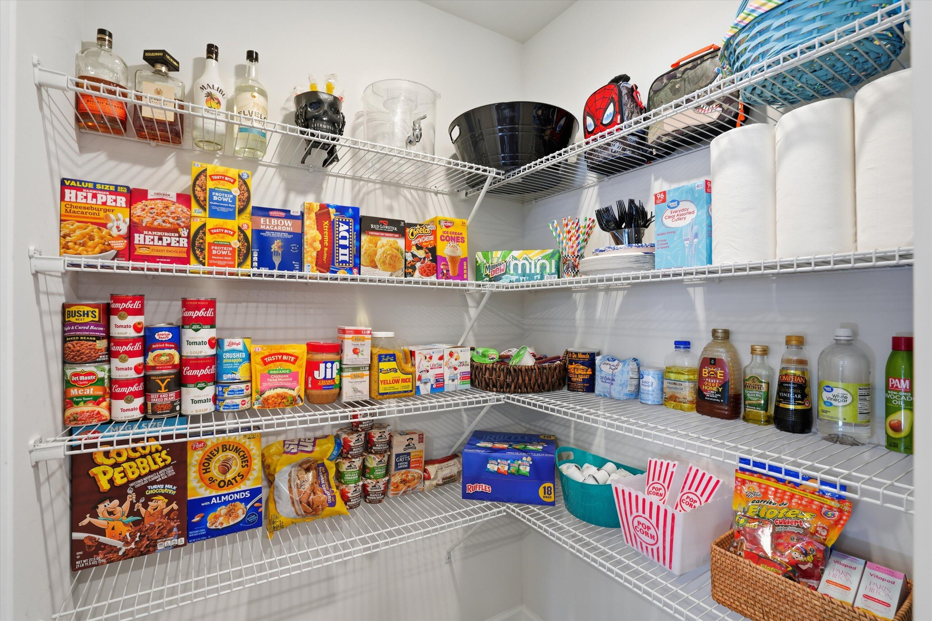 361 Spruce Ivy Street Moncks Corner, SC 29461 - Photo 22 of 44 Large Pantry