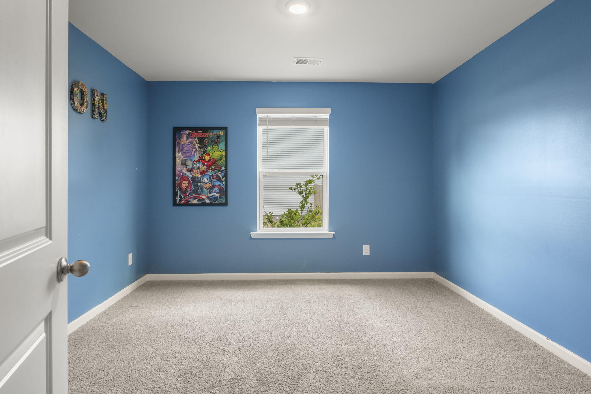 361 Spruce Ivy Street Moncks Corner, SC 29461 - Photo 5 of 44 Perfect Pop of Color