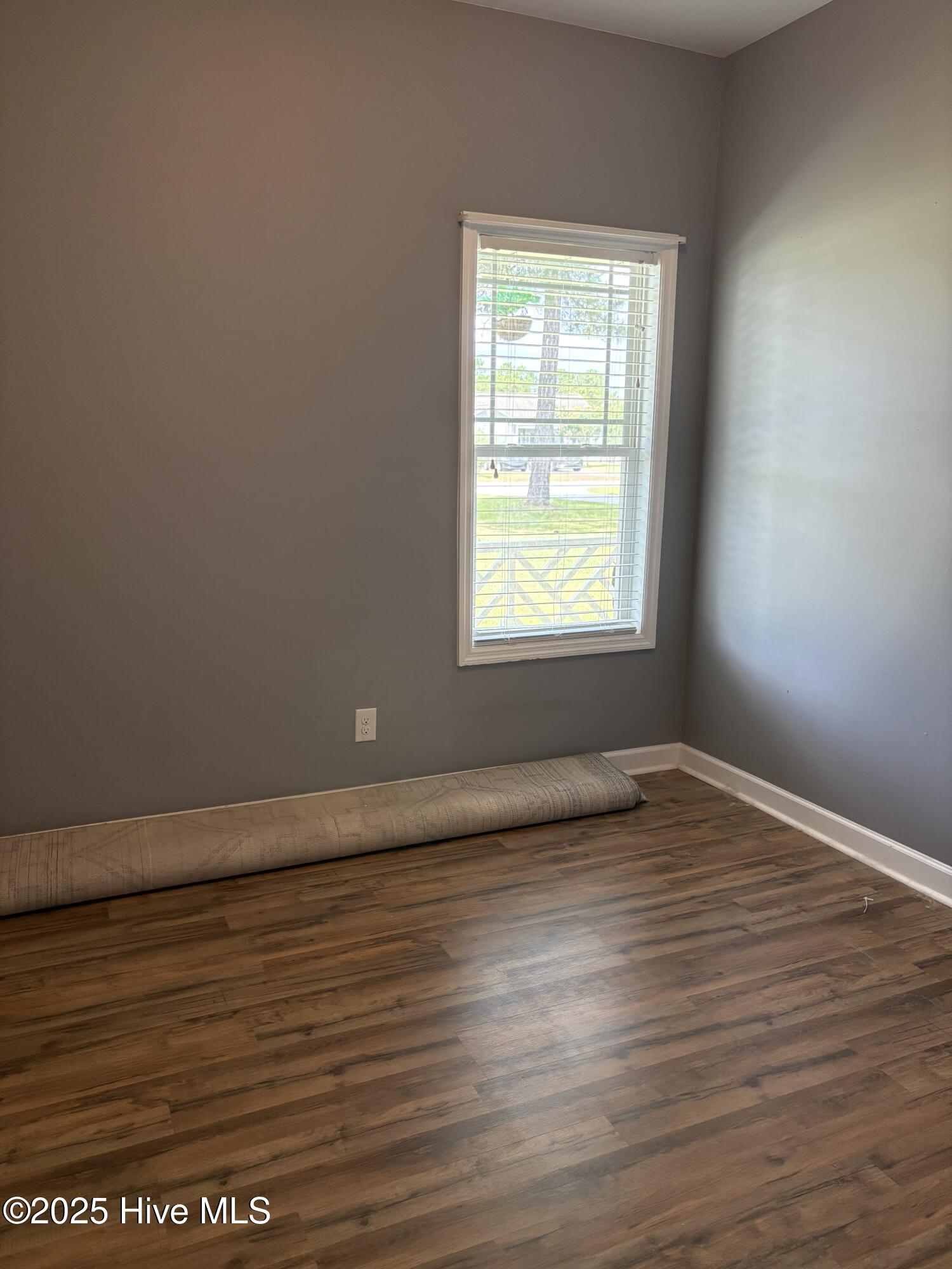 117 Boysenberry Fields Road Maple Hill, NC 28454 - Photo 11 of 20 Bedroom 1
