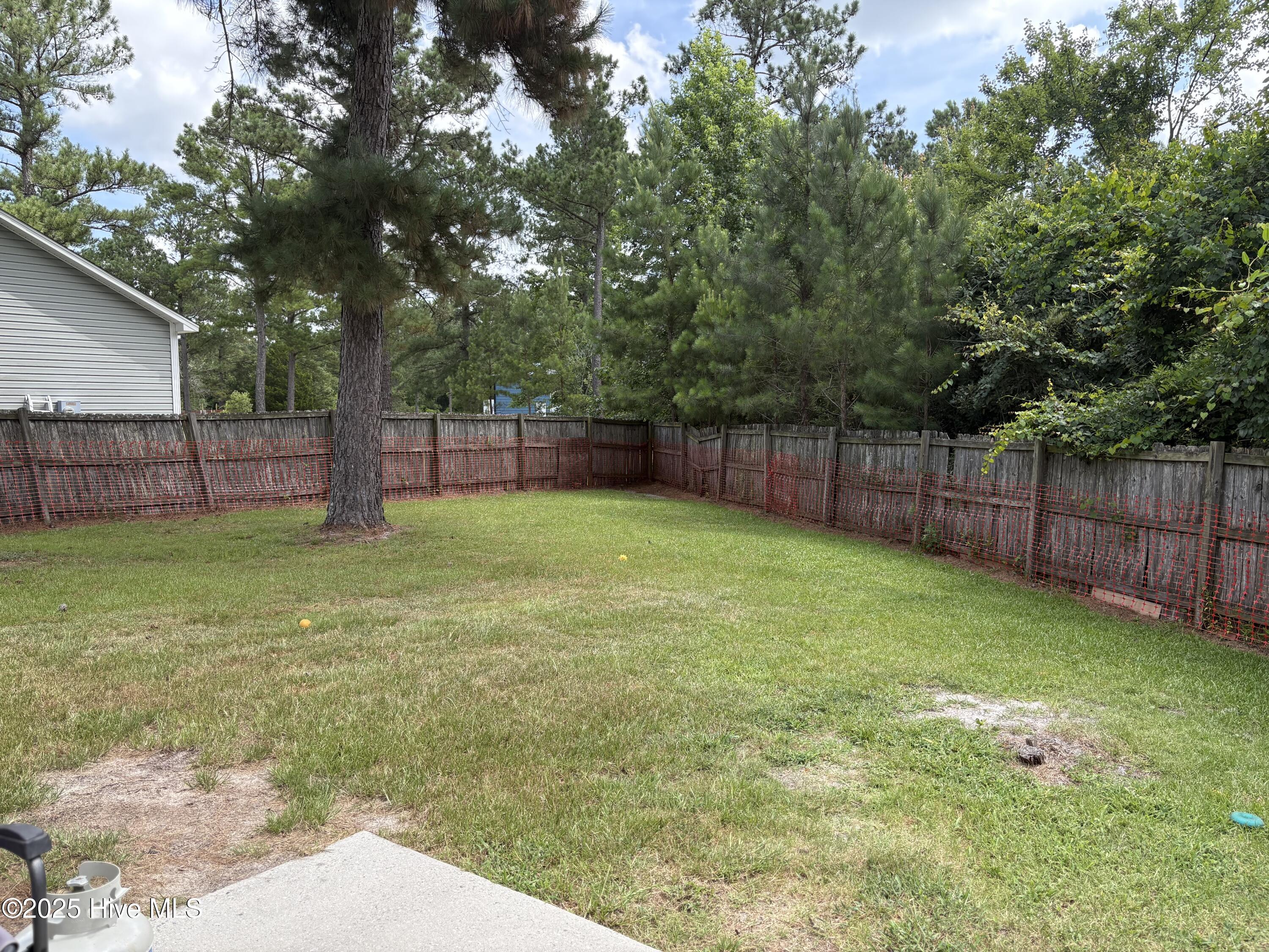 117 Boysenberry Fields Road Maple Hill, NC 28454 - Photo 20 of 20 backyard