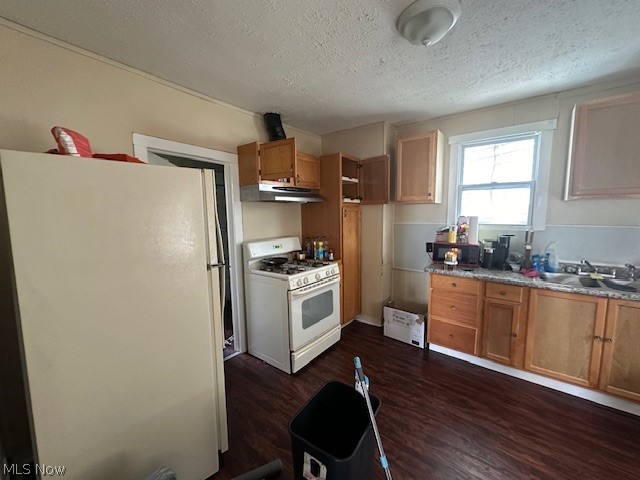 3231 Riverside Avenue Cleveland, OH 44109 - Photo 15 of 37 Kitchen with sink, dark hardwood / wood-style flooring, a textured ceiling, and white appliances