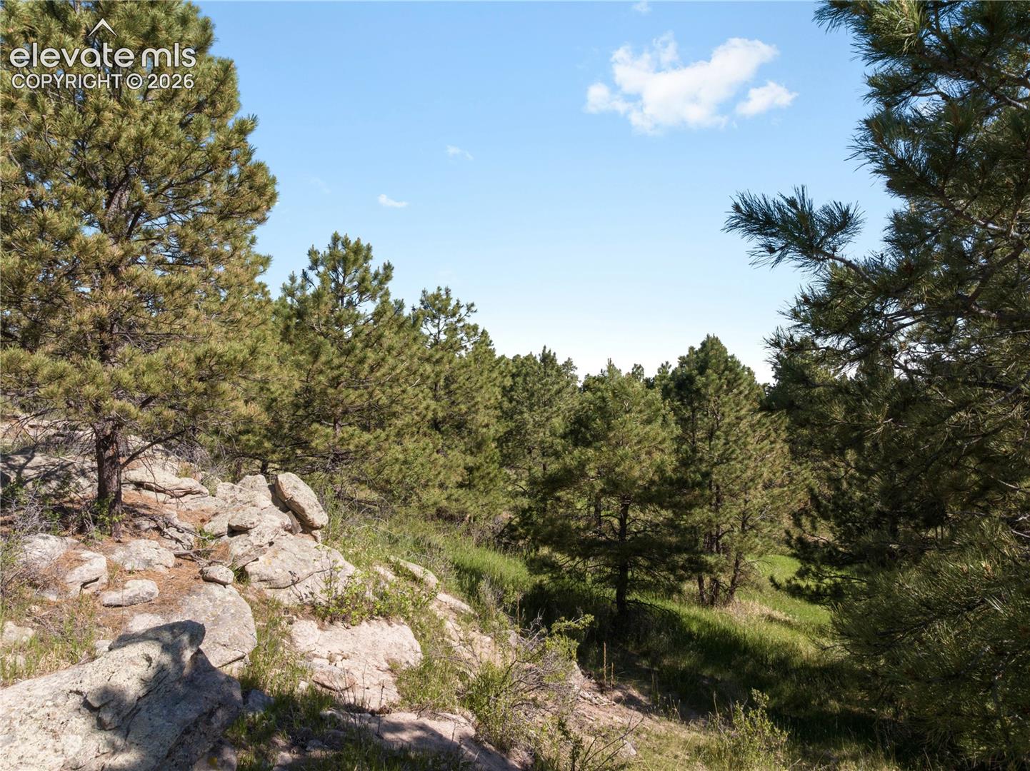 18673 North Elbert Road Elbert, CO 80106 - Photo 5 of 29 Gallery Image 5