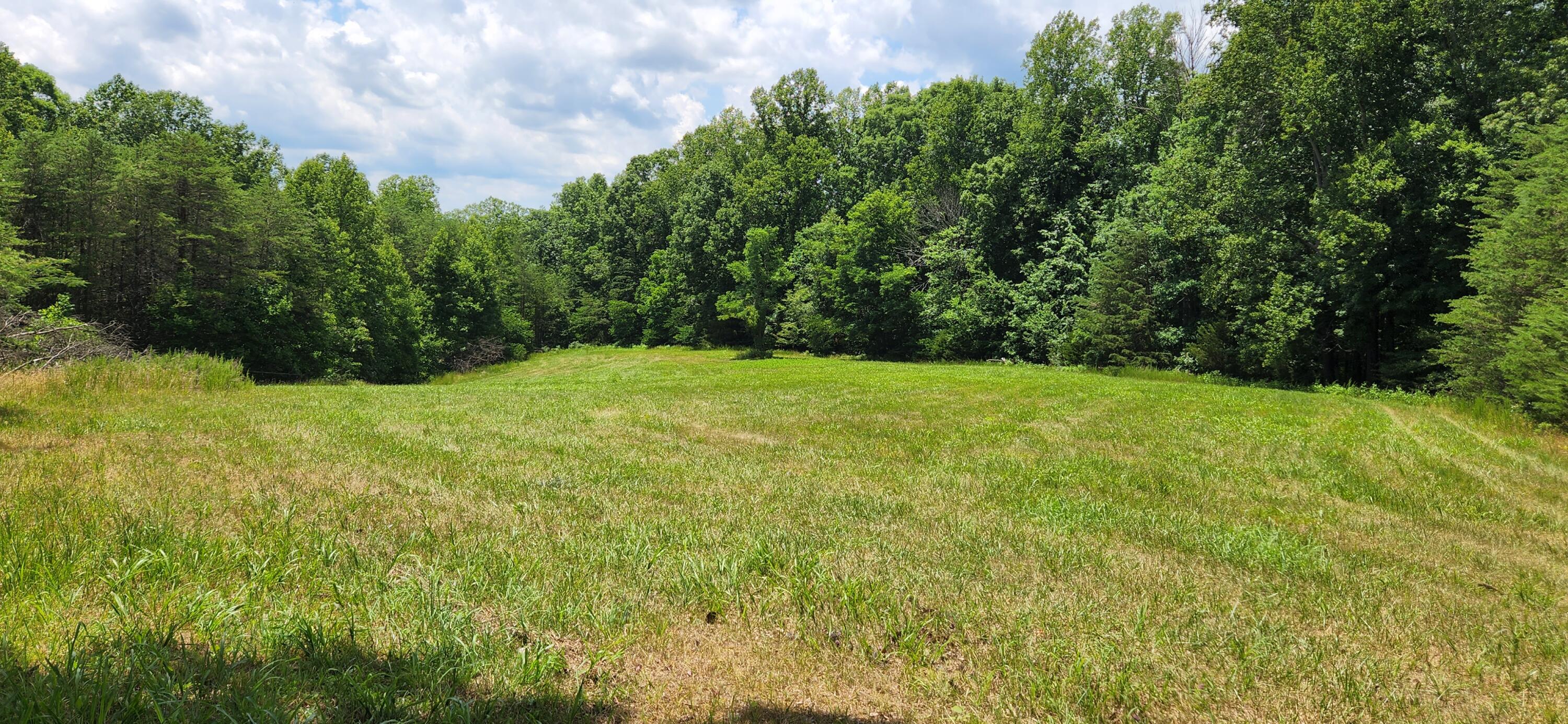 8777 Museville Road Sandy Level, VA 24161 - Photo 2 of 7 2