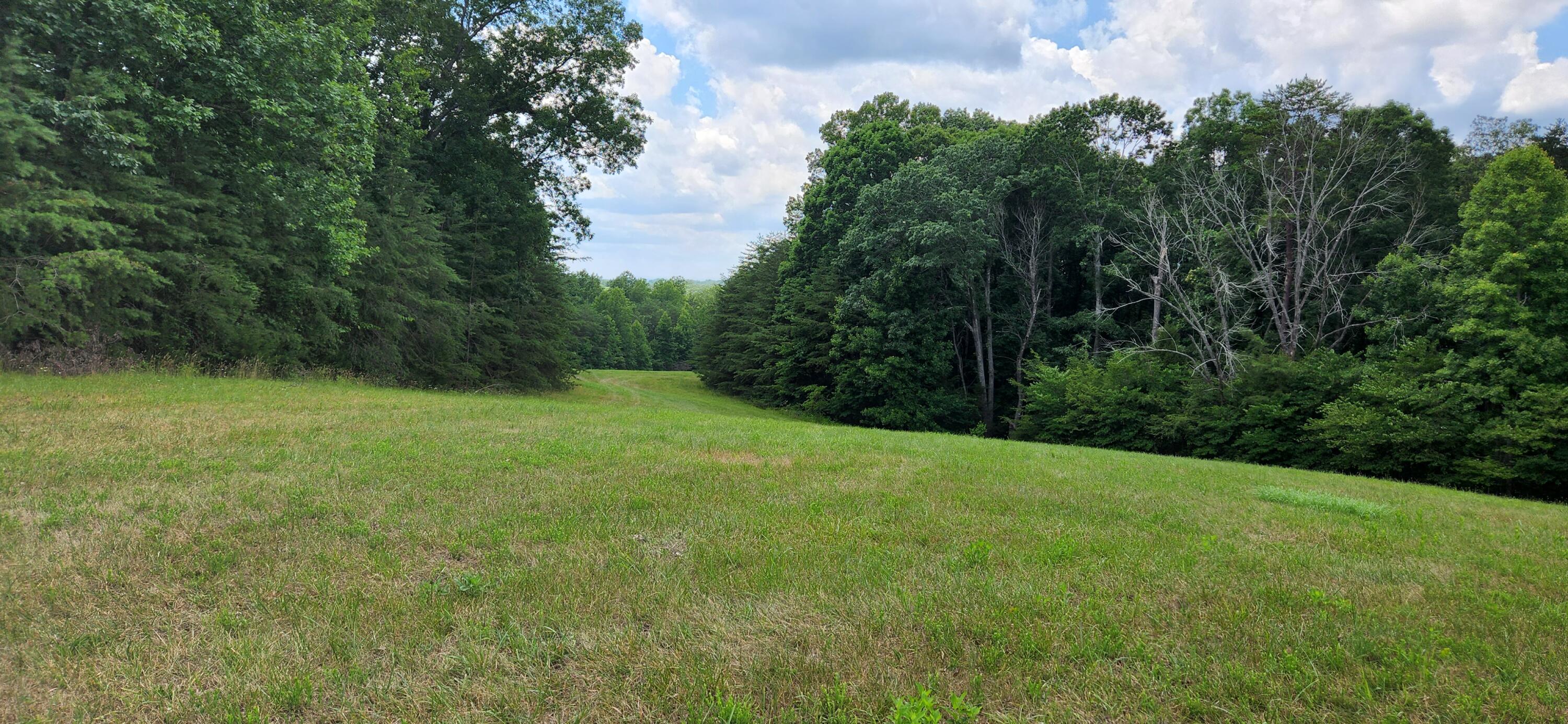8777 Museville Road Sandy Level, VA 24161 - Photo 3 of 7 3