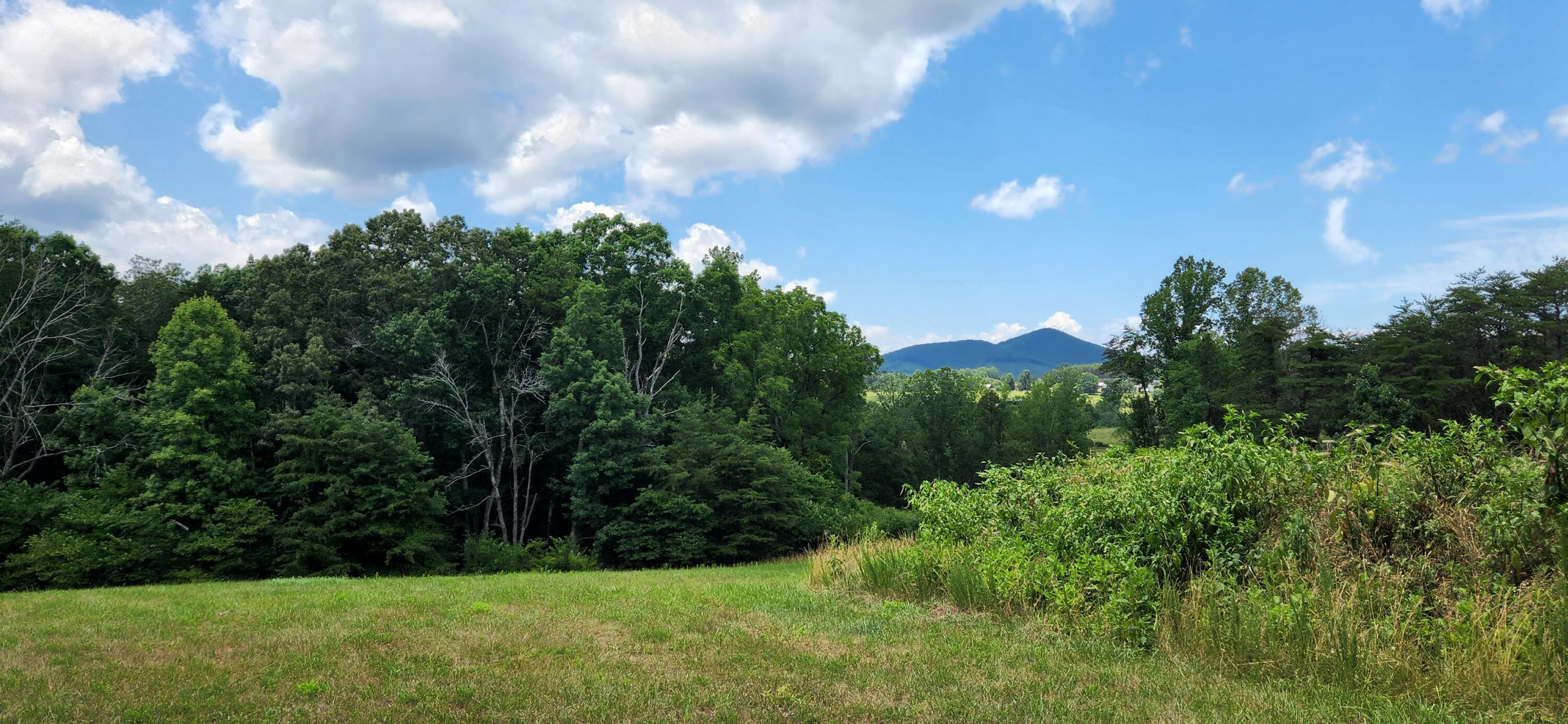 8777 Museville Road Sandy Level, VA 24161 - Photo 4 of 7 4