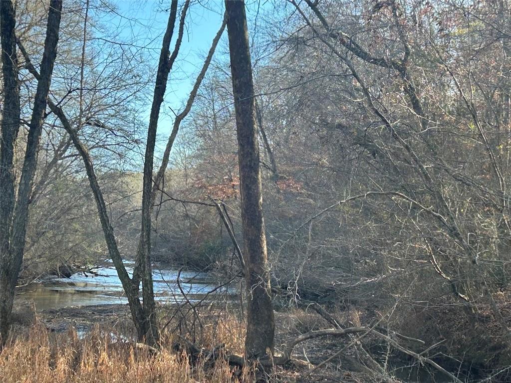 149 River Cove Carrollton, GA 30117 - Photo 48 of 67