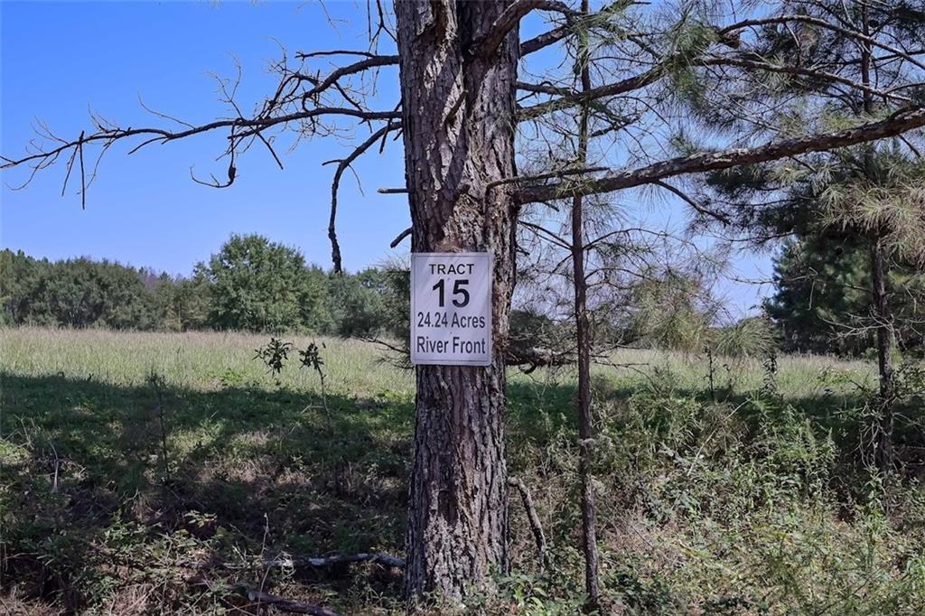 149 River Cove Carrollton, GA 30117 - Photo 7 of 67