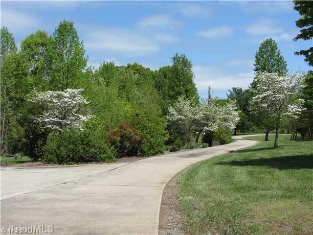 2129 Bethesda Church Road Madison, NC 27025 - Photo 4 of 16 Yard/Garden.