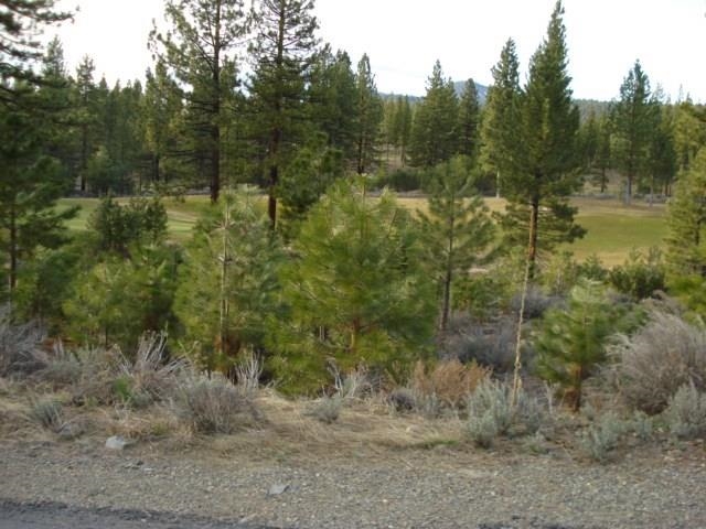 2152 Grizzly Ranch Road Portola, CA 96122 - Photo 4 of 8 Gallery Image 4