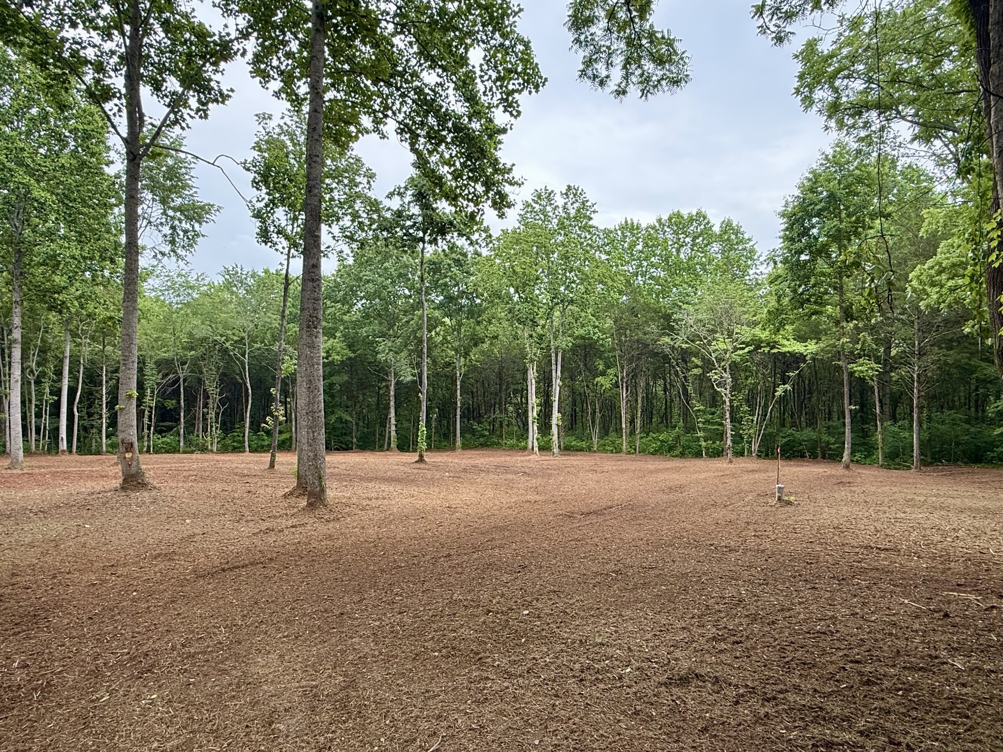 0 Bedford Lake Road Normandy, TN 37360 - Photo 33 of 34