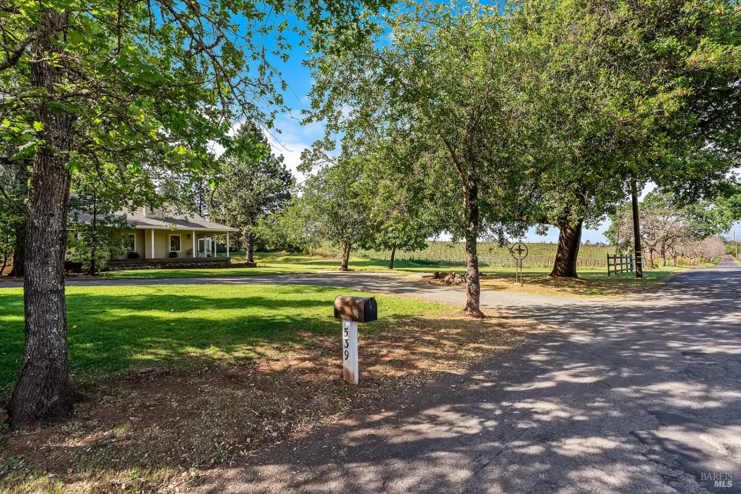 539 Keyes Avenue Angwin, CA 94508 - Photo 6 of 43
