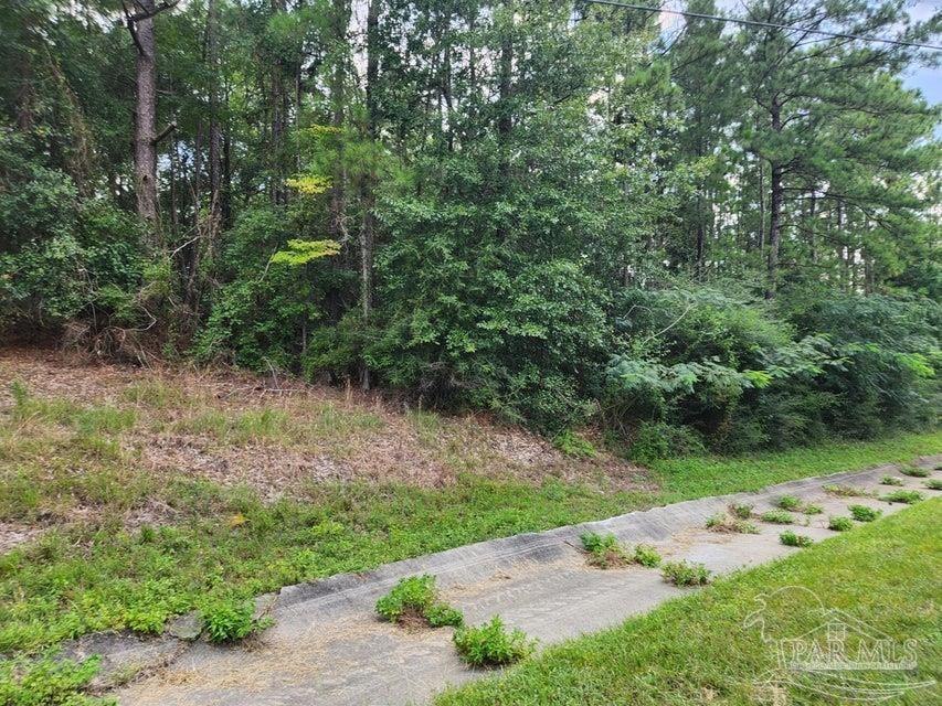 4 Hwy Jay Jay, FL 32565 - Photo 11 of 31