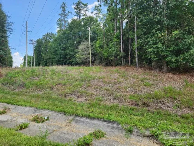 $50,000 | 4 Hwy Jay, Jay, FL 32565