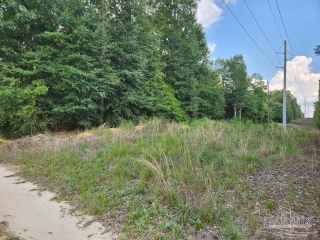 $50,000 | 4 Hwy Jay, Jay, FL 32565