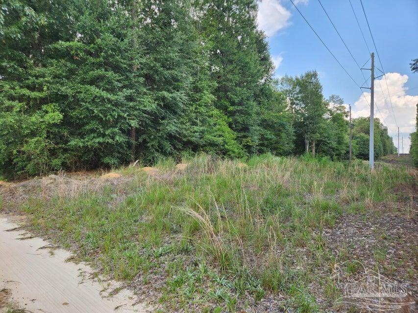 4 Hwy Jay Jay, FL 32565 - Photo 19 of 31