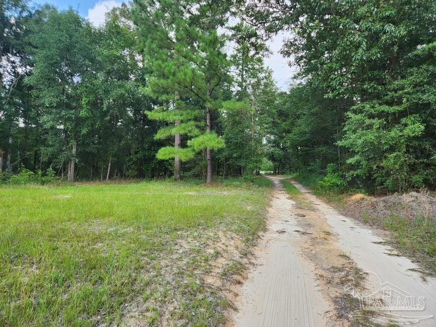 4 Hwy Jay Jay, FL 32565 - Photo 20 of 31
