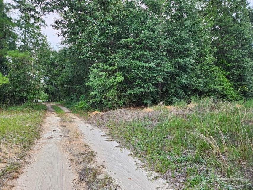 4 Hwy Jay Jay, FL 32565 - Photo 21 of 31