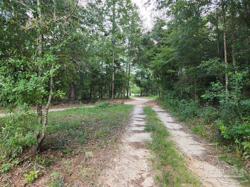 4 Hwy Jay Jay, FL 32565 - Photo 22 of 31