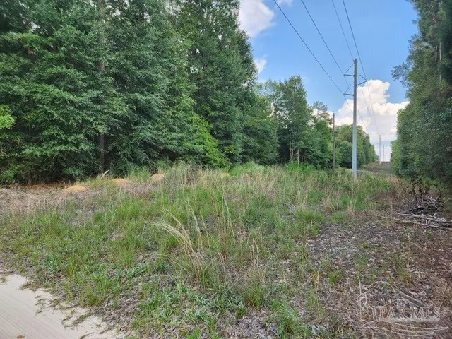 $50,000 | 4 Hwy Jay, Jay, FL 32565