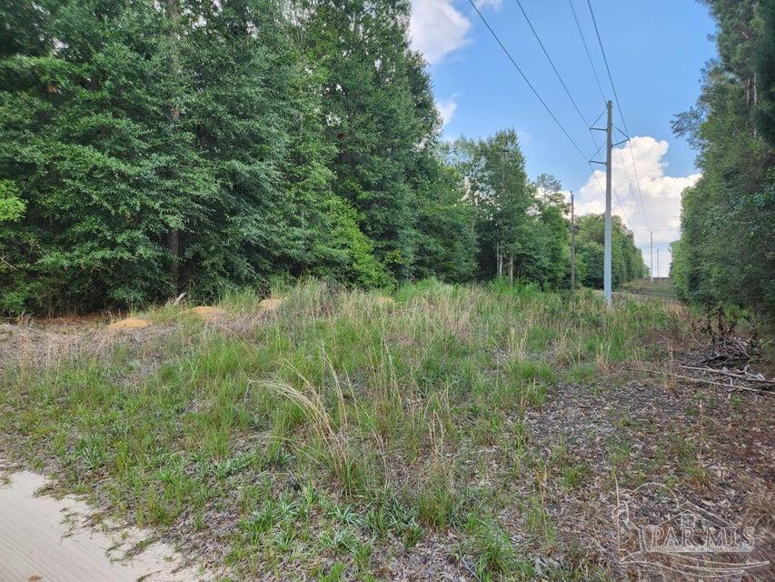 4 Hwy Jay Jay, FL 32565 - Photo 23 of 31