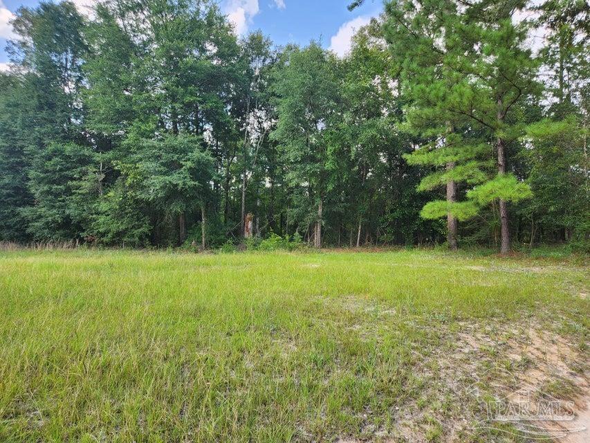 4 Hwy Jay Jay, FL 32565 - Photo 25 of 31