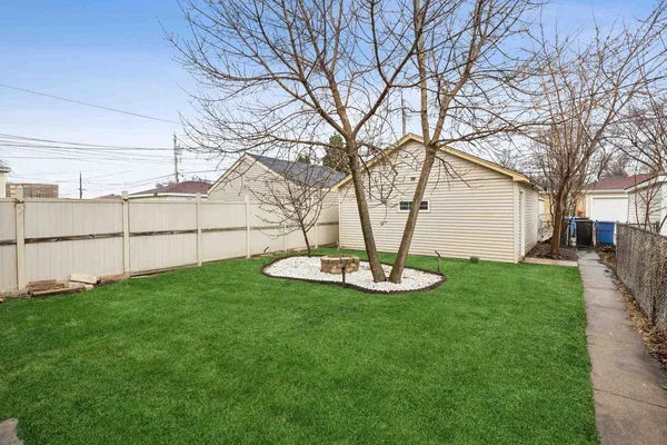 a view of a backyard with plants and a large tree