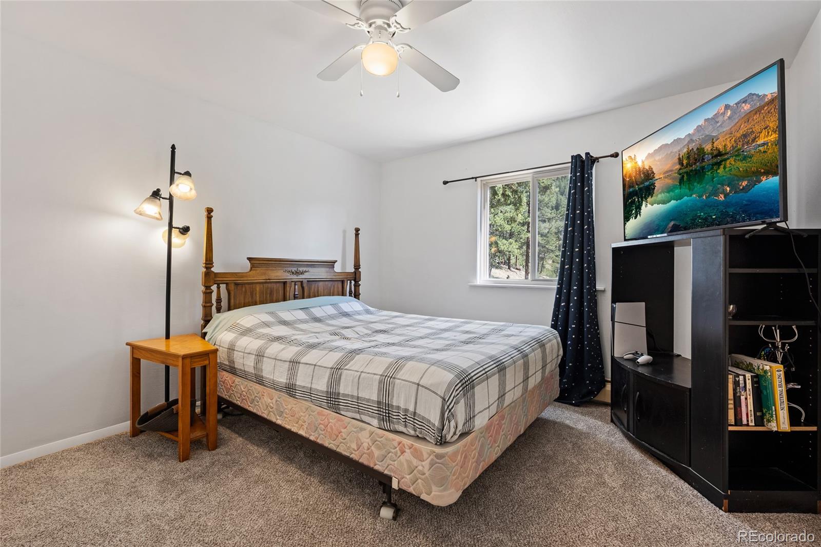 1729 Crow Valley Road Bailey, CO 80421 - Photo 43 of 49