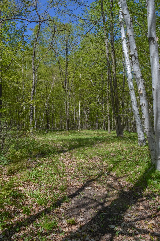 4100 County EE Fish Creek, WI 54212 - Photo 12 of 54