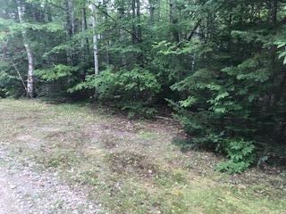 Tbd Tbd Staples Road Madrid Township, ME 04966 - Photo 3 of 6 IMG_6610