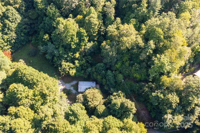 a picture of flowers