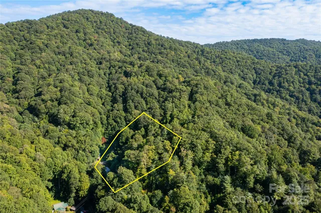 a view of a large building with a lush green forest