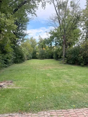 a view of a field of grass and trees