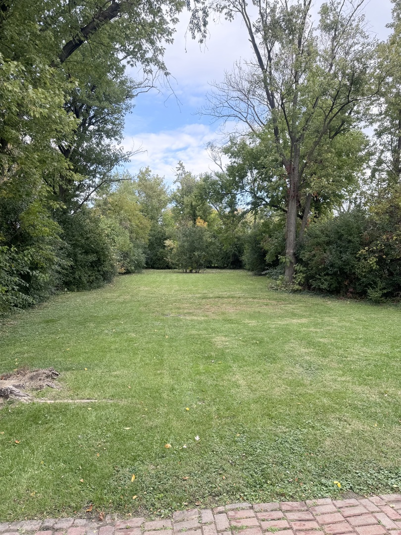 1834 Terrace Road Homewood, IL 60430 - Photo 20 of 21 a view of a field of grass and trees