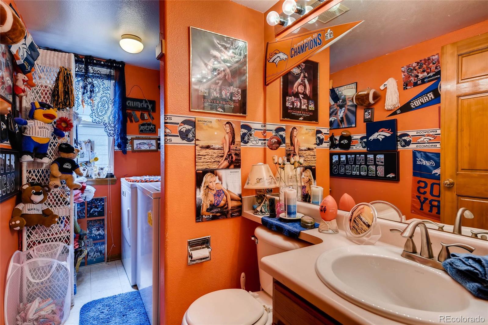 9523 High Cliffe Street Highlands Ranch, CO 80129 - Photo 12 of 22 Gallery Image 12