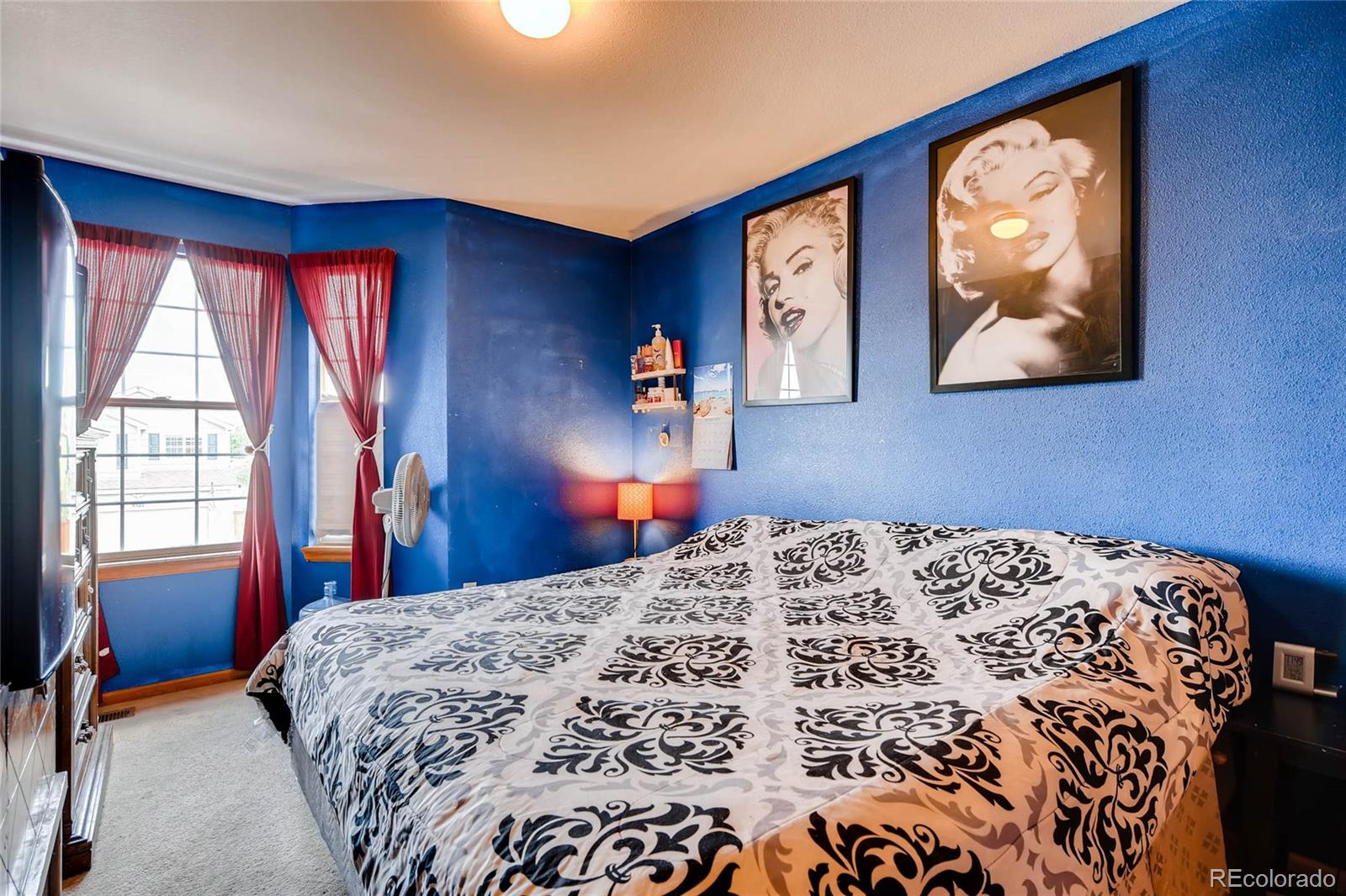 9523 High Cliffe Street Highlands Ranch, CO 80129 - Photo 16 of 22 Gallery Image 16