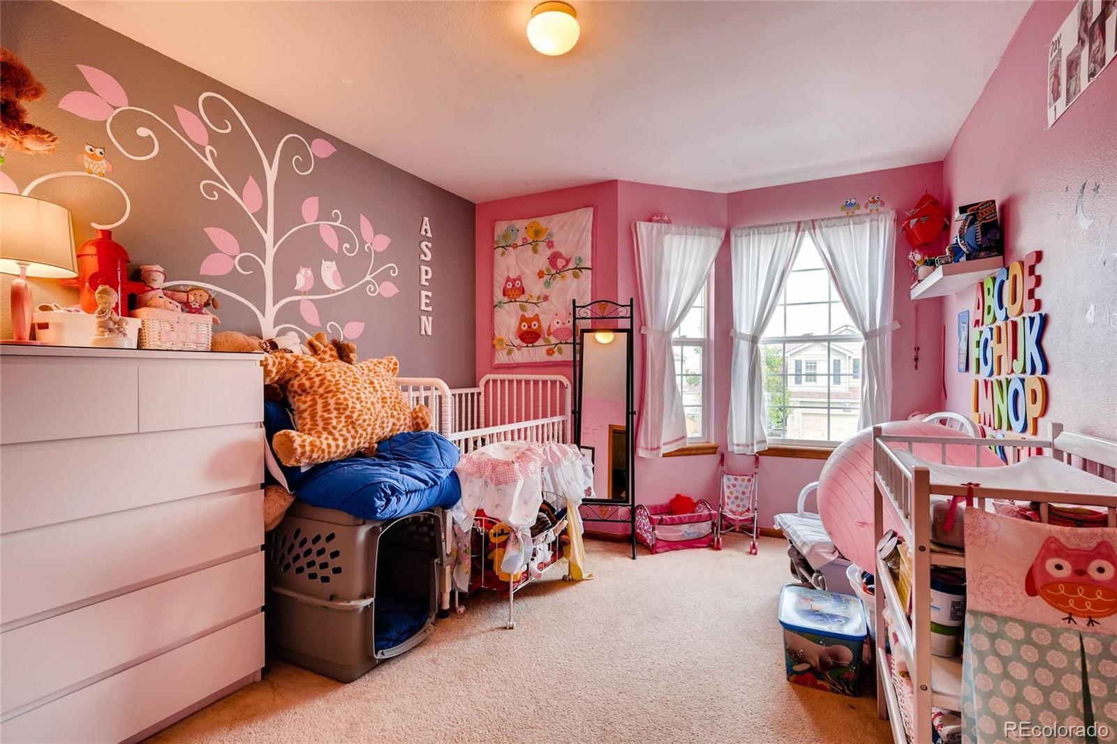 9523 High Cliffe Street Highlands Ranch, CO 80129 - Photo 17 of 22 Gallery Image 17