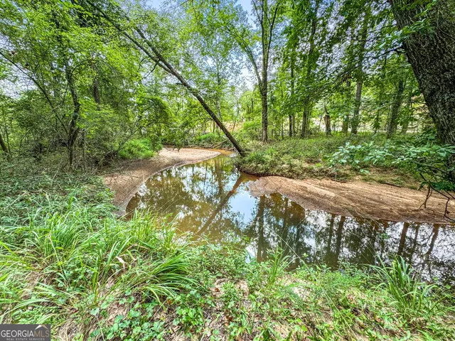 a view of backyard of house