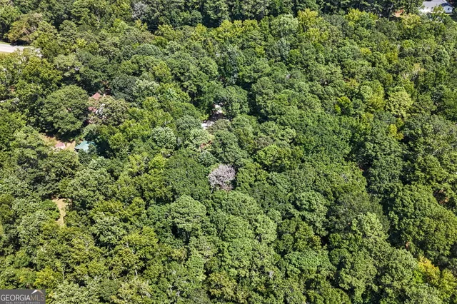 a view of a trees in a yard