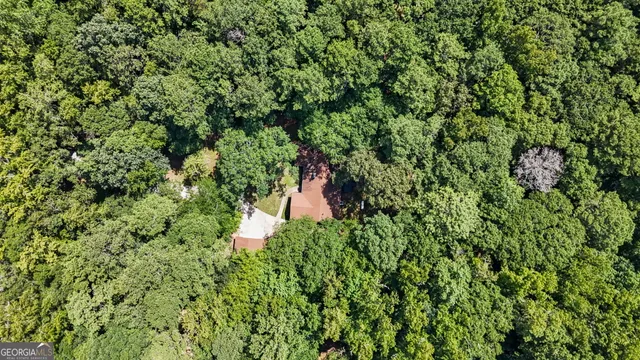 a view of a garden with a tree